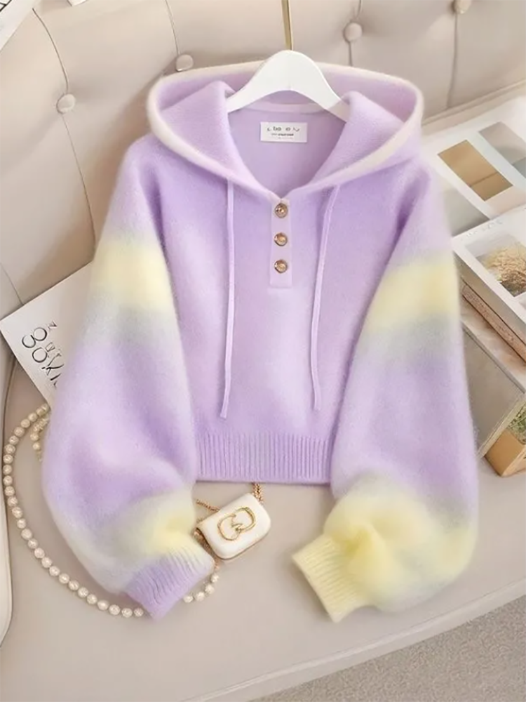 Chinese Loose High-Grade Hoode - Street Fashion Winter 2026 avis et prix